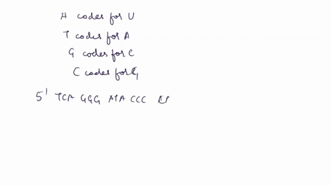 23-3-points-is-the-following-structure-a-purine-or-pyrimidine-0-nh-0-pc-oh-oh-oh-79348