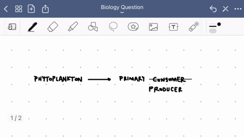 which-of-the-following-organisms-is-mismatched-with-its-trophic-level-a-algae-producer-b-phytoplankt-98788