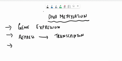 unmethylated-dna-group-of-answer-choices-a-inhibits-binding-of-transcriptional-activators-and-inhibits-transcription-b-increases-transcription-promotes-binding-of-transcriptional-activators-85622