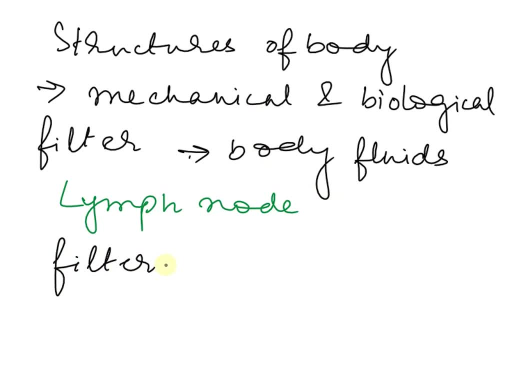 SOLVED These structures are distributed throughout the body and act as