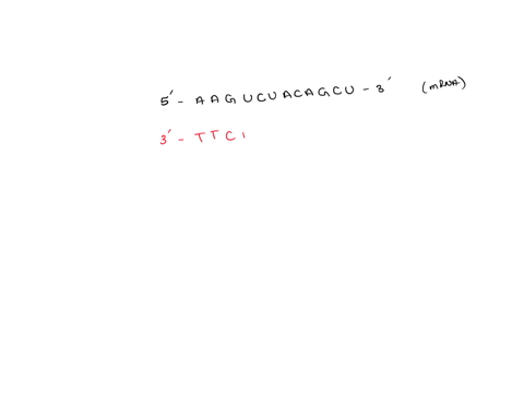 question-cempletion-status-question-the-dna-strand-that-mrna-is-built-from-is-called-the-template-strand-because-it-serves-as-template-for-transcription-the-mrna-molecules-that-are-synthesiz-17677