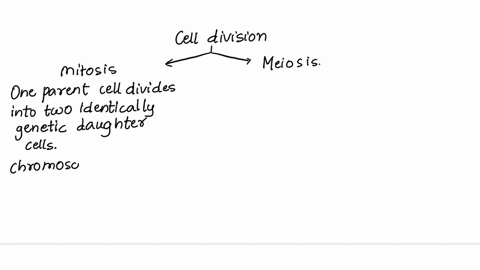 a-cell-contains-the-same-dna-as-its-parent-cell-this-is-a-result-of-which-process-mitosis-meiosis-gamete-formation-fertilization-78405