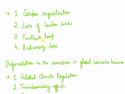describe-how-deforestation-can-impact-the-the-amount-of-carbon-dioxide-in-the-atmosphere-in-terms-of-the-carbon-cycle-explain-why-deforestation-in-the-amazon-is-a-global-concern-and-not-just-22161