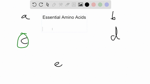 which-of-the-following-statements-is-true-of-essential-amino-acids-these-amino-acids-do-not-contain-a-side-chain-attached-to-the-backbone-b-alanine-and-cysteine-are-examples-of-essential-ami-51018