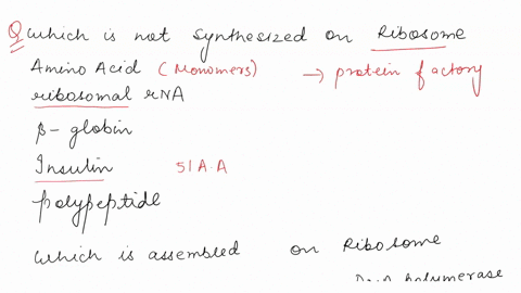 which-of-the-following-is-polymer-ihatis-not-made-synthesized-on-the-ribosome-amino-acid-ribosomal-rna-beta-globin-insulin-polypeplide-question-which-of-the-following-is-assembled-synthesize-80263