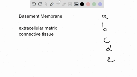 which-of-the-listed-structures-attaches-the-basal-surface-membrane-of-e-epithelial-cells-to-a-basement-membrane-a-macula-adherens-b-hemidesmosome-gap-junction-dzonula-occludens-e-zonula-adhe-21898