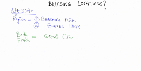 module-discussion-prompts-instructor-prompt-initial-response-_-part-one-imagine-that-you-are-trying-to-describe-the-location-of-multiple-areas-of-bruising-on-a-patient_-the-graphic-below-sho-08638