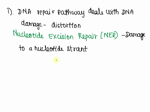 which-dna-repair-pathway-deals-with-dna-damage-that-causes-distortic-mismatch-repair-base-excision-repair-nucleotide-excision-repair-non-homologous-end-joining-question-5-for-homologous-reco-88618