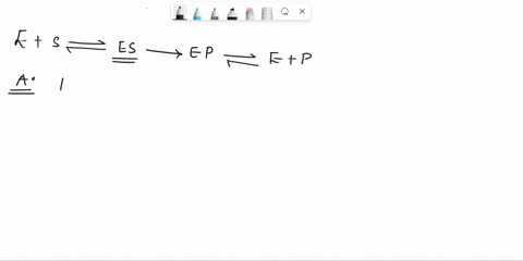simple-enzyme-reactions-often-conform-to-the-equation-mathrmemathrms-rightleftharpoons-mathrmes-righ-64073