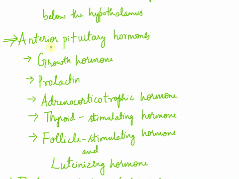 describe-the-location-hormones-and-functions-of-the-pituitary-gland-24116