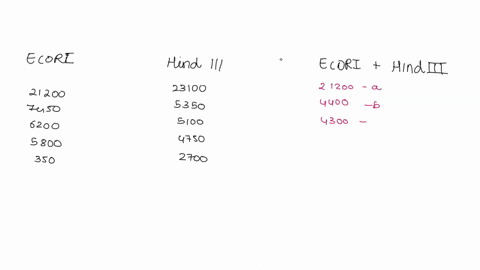 the-diagram-above-represents-simple-exanple-of-restriction-happing-using-isolared-fragments-tor-redigestion-howevet-usually-not-followed-instead-three-reaction-practice_-this-approach-tubes-35761