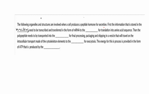 question-112-25-pts-the-following-organelles-and-structures-are-involved-when-cell-produces-peptide-hormone-for-secretion-first-the-information-that-is-stored-in-the-need-to-be-transcribed-a-84685
