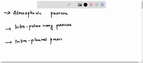 7-differentiate-between-atmospheric-pressure-intrapulmonary-pressure-and-intrapleural-pressure-which-of-these-is-always-negative-in-a-healthy-individual-during-normal-breathing-what-happens-88895