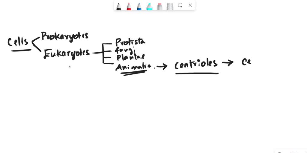 SOLVED Animals and other eukaryotes have , but only animals have