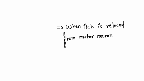 an-agonist-of-receptors-at-the-neuromuscular-junction-would-increase-question-4-options-1-uptake-of-neurotransmitter-2-muscle-relaxation-3-diffusion-of-sodium-out-of-the-cell-4-depolarization-of-skele