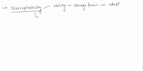 what-is-neuroplasticity-a-the-ability-to-make-new-and-stronger-connections-between-the-neurons-in-our-brain-as-we-learn-bhaving-a-fixed-mindset-in-some-ways-and-a-growth-mindset-in-others-ct-36709
