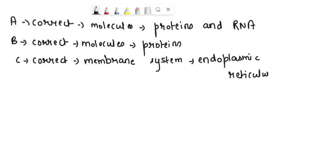 SOLVED Which of the following statements about the nuclear membrane is