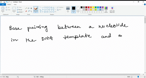 what-determines-which-base-is-to-be-added-to-an-rna-strand-during-transcription-base-pairing-between-the-two-dna-strands-bonding-between-the-phosphate-group-of-the-dna-and-and-rna-nucleotide-60244