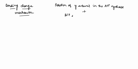 1-describe-the-binding-change-mechanism-model-with-regard-to-the-functional-role-of-the-subunit-in-mediating-the-synthesis-of-3-atp-for-each-360-rotation-2-summarize-the-steps-of-the-electro-30421