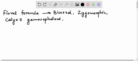 write-the-floral-formula-of-the-flower-having-following-description-bisexual-zygomorhic-calyx-5-gamosepalous-corolla-5-polysepalous-vexillary-aestivation-androecium-10-stamens-9-united-and1-77836