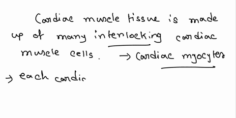 how-does-the-structure-of-the-cardiac-myocytes-and-intercalated-discs-follow-the-function-of-cardiac-muscle-tissue-and-the-heart-91718
