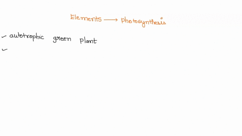 which-elements-are-recycled-during-the-processes-of-photosynthesis-and-cellular-respiration-54026