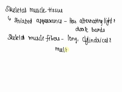 watch-this-video-httpopenstaxcollegeorglmusctissue-to-learn-more-about-muscle-tissue-in-looking-through-a-microscope-how-could-you-distinguish-skeletal-muscle-tissue-from-smooth-muscle-02165