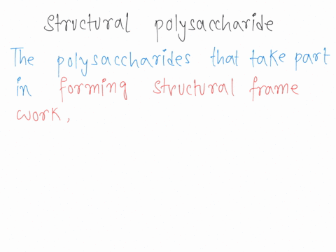 which-of-the-following-is-a-structural-polysaccharide-glycogen-chitin-b-amylopectin-glycerol-c-amylose-05625