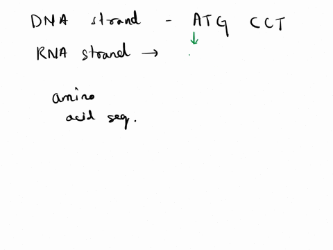 first-base-gug-gua-guc-guu-aua-auc-auu-cug-cua-cuc-cuu-uug-uua-uuc-uuut-valineval-augmethioninemetstart-isoleucinee-leucineleu-leucineleu-write-the-names-of-both-amino-acids-phenylalaninephe-95028