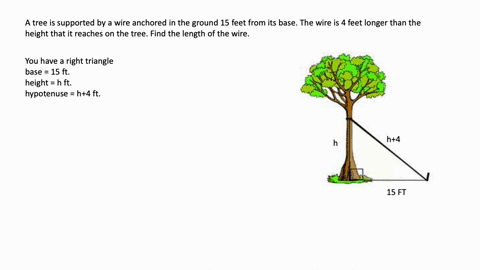 a-tree-is-supported-by-a-wire-anchored-in-the-ground-15-feet-from-its-base-the-wire-is-4-feet-long-2-17207