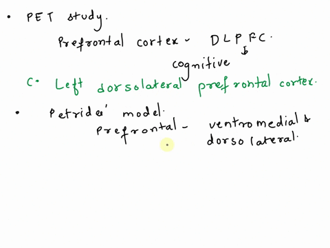 q-according-to-the-pet-study-of-frith-et-al-1991-which-region-is-particularly-important-for-response-selection-a-right-dorsolateral-prefrontal-cortex-b-left-ventrolateral-prefrontal-cortex-c-45483
