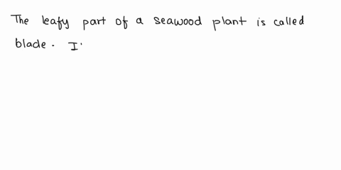 the-leafy-part-of-a-seaweed-plant-is-called-the-81374