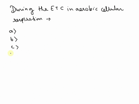 during-the-electron-transport-chain-process-in-aerobic-cellular-respiration-chemiosmosis-is-directly-caused-by-electron-transfer-b-each-electron-carrier-is-phosphorylated-atp-is-generated-at-39997