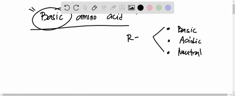 which-one-of-the-following-amino-acids-has-a-basic-amino-r-nh2-side-chain-a-aspartic-acid-b-lysine-c-isoleucine-d-glycine-49985