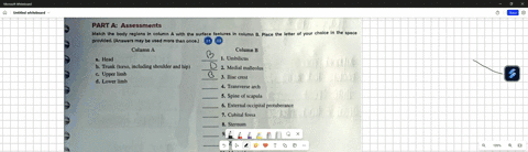 part-aassessments-match-the-body-reglons-in-column-a-with-the-surface-features-in-column-bplace-the-letter-of-your-choice-in-the-space-providedanswers-may-be-used-mora-than-once-column-a-col-20696