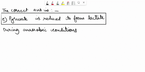 which-of-the-following-is-true-nadh-is-reduced-when-pyruvate-is-converted-to-carbondioxide-and-water-aerobic-oxidation-produces-lactate-alcohol-fermentation-requires-atp-alcohol-fermentation-64234