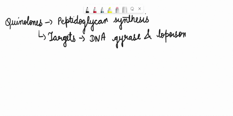 which-one-of-the-following-classes-of-antibacterial-drugs-listed-below-does-not-target-peptidoglycan-synthesis-question-3-options-quinolones-cephalosporin-penicillin-ampicillin-vancomycin-32513