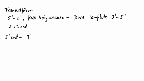 the-following-drawing-represents-simultaneous-transcription-and-translation-in-e_-coli_-the-direction-of-rna-polymerase-is-given-by-the-arrow-direction-of-rna-polymerase-amino-acid-oooo-iarg-86507