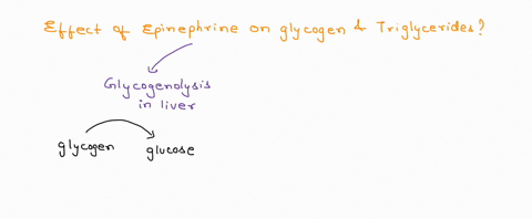 1-epinephrine-is-a-hormone-that-is-secreted-mainly-by-the-medulla-of-the-adrenal-glands-and-functions-primarily-to-increase-cardiac-output-and-to-raise-glucose-levels-in-the-blood-this-hormo-74493
