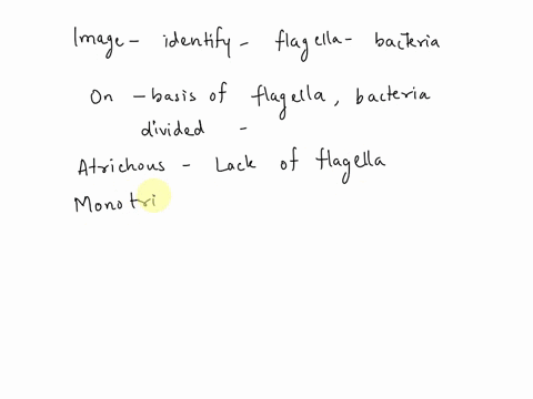 which-of-the-following-terms-describe-the-flagellum-of-the-pictured-bacteria-0-peritrichous-latrichous-none-ofthe-terms-listed-describe-flagella-monotrichous-16044