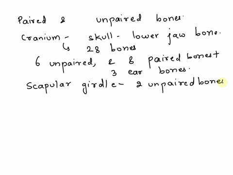 drag-each-label-into-the-proper-position-to-identify-whether-the-given-bone-is-paired-right-and-left-or-unpaired-singular-as-related-to-the-adult-skeleton-incus-parietal-xiphoid-vomer-trapez-61796