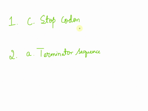 howis-synthesis-terinated-in-translation-arun-out-of-template-b-poly-a-tail-stop-codon-d-terminator-sequence-end-site-question-27-how-is-synthesis-terminated-in-transcription-aterminator-seq-06115