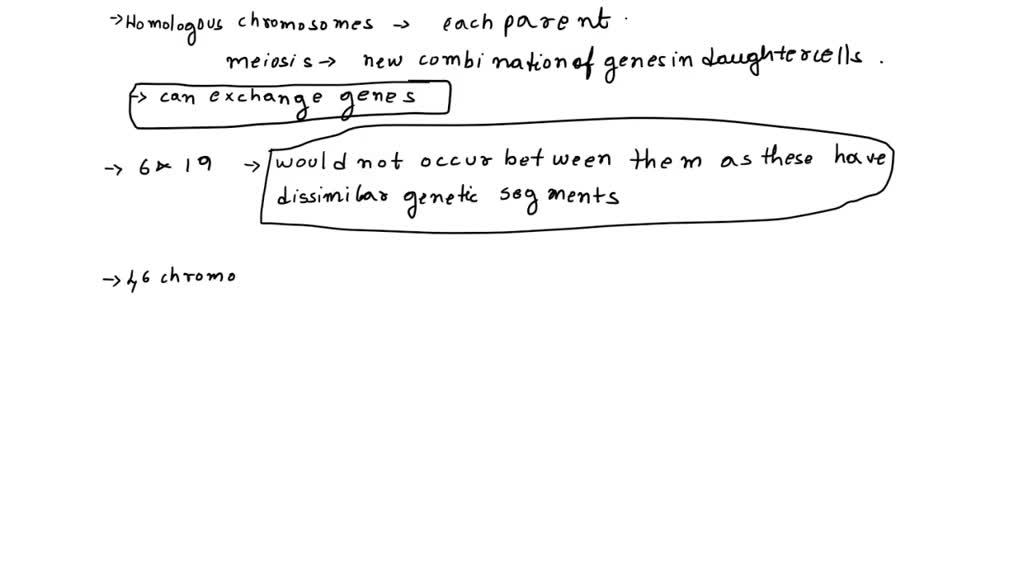 SOLVED Briefly explain why homologous chromosomes can exchange genes