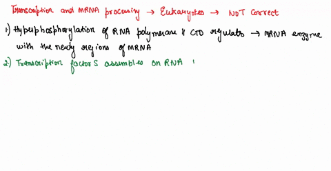 which-of-the-following-statements-regarding-the-transcription-and-mrna-processing-in-eukaryotes-is-not-correct-choose-one-hyperphosphorylation-of-the-rna-polymerase-ii-ctd-regulates-the-inte-25024