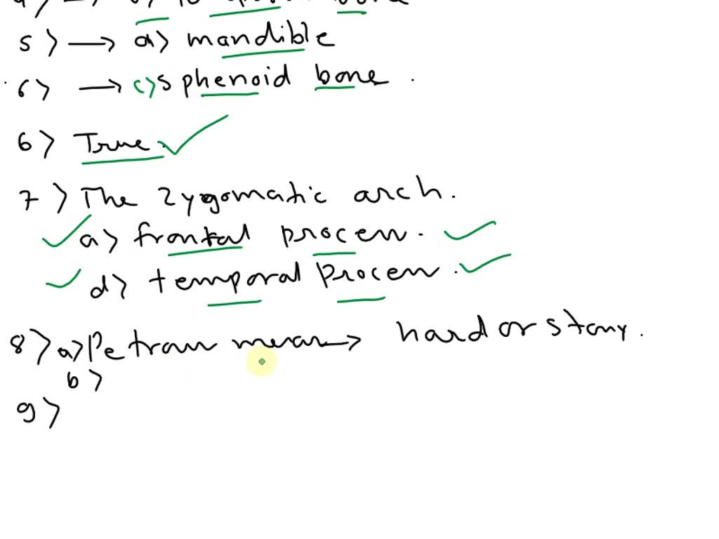 SOLVED Do You Know the Basics? Exercise 8.1 Anterior View of the