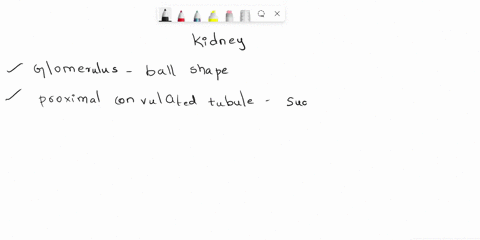 question7-fill-in-the-blanks-for-this-paragraph-by-typing-the-number-next-to-your-answer-choice-inside-the-capsuleis-a-spherical-capillary-network-called-ahigh-blood-pressure-in-these-specia-70434