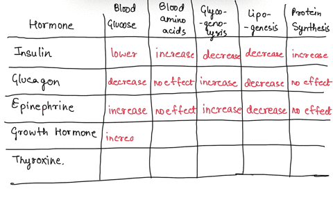 12-several-hormones-have-overlapping-effects-on-metabolism-complete-the-table-to-list-the-hormone-effect-increase-or-decrease-on-the-characteristic-at-the-top-of-each-column-hormone-blood-gl-06855