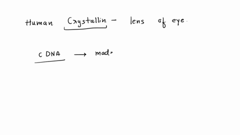 imagine-you-want-to-study-human-crystallins-proteins-present-in-the-lens-of-the-eye-to-obtain-a-sufficient-amount-of-the-protein-you-decide-to-clone-the-crystallin-gene-would-you-construct-a-99398