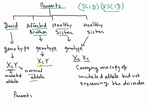 Scid Inheritance Born with x linked scid xscid complete dehiciency of t cells...