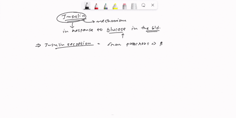 1-what-are-some-of-the-ways-insulin-regulates-blood-glucose-levels-hint-how-is-glut-4-involved-please-list-several-examples-and-explain-02753